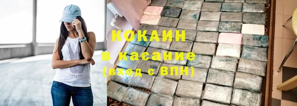 тгк Пересвет