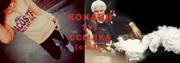 тгк Пересвет