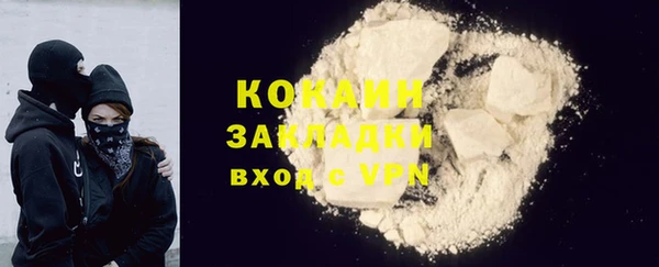 тгк Пересвет