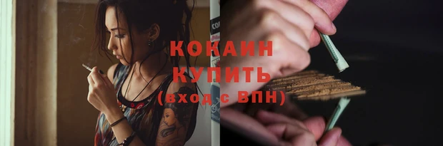 тгк Пересвет