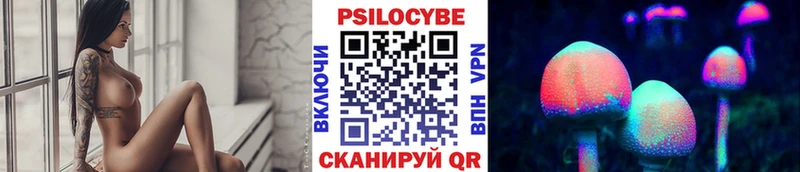 Купить  Сельцо  Псилоцибиновые грибы Magic Shrooms 