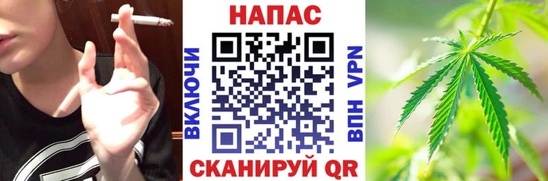 Бошки марихуана семена  Купить где  Сельцо 